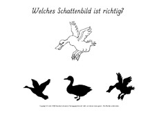 Schattenbilder-suchen1.pdf